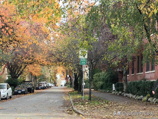 温哥华游记（四）