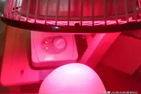 妹妹去年送我的一台远红外线电烤灯理疗仪器，这次膝盖疼又用上啦图片