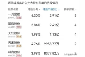 超级牛散！周宇光持有14个股票，都进了十大股东，全是中小盘公司图片
