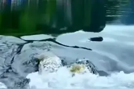 景，拼音jǐng，注音ㄐ一ㄥˇ。 1. 环境的风光图片