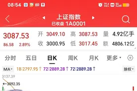 贝莱德在中国股市的失败》 贝莱德在投资界可是大名鼎鼎图片