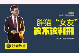 胖猫事件“女主”谭竹，该不该判刑视频封面