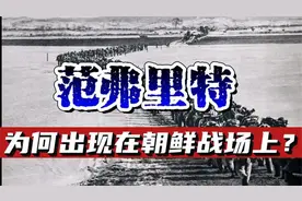 谁是这个世界上最会打炮的人？范弗里特，为何出现在朝鲜战场上？视频封面