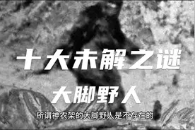 神农架大脚野人真的存在吗？#神农架禁地之谜 #原始人 #未解之谜