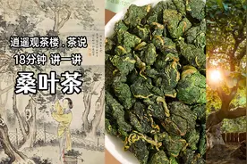 18分钟讲一讲桑叶茶