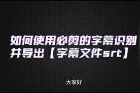 【教程】白嫖必剪的字幕识别并导出字幕文件srt和ass