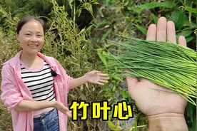 农村的竹叶心用途很强大，可惜很多人却不知道，一起来了解下