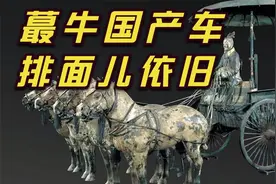 带大家看看秦始皇陵已出土随葬品中最珍贵那一件视频封面
