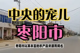 百强县之湖北枣阳市——中央的宠儿
