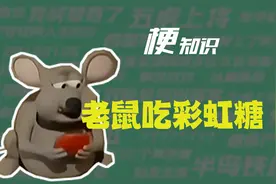 【梗知识】老鼠吃彩虹糖
