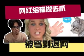 美国网红给猫咪做了去爪手术，被骂到退网而引发的动物权利论
