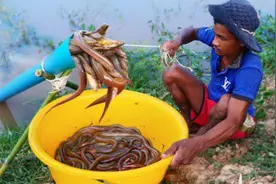 小伙用水泥做陷阱，装载塑料桶里沉在河里抓鱼，原理有点复杂