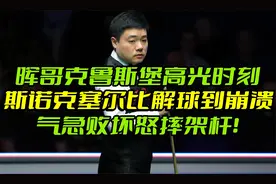 晖哥克鲁斯堡高兴时刻，斯诺克塞尔比解到崩溃，气急败坏怒摔架杆视频封面