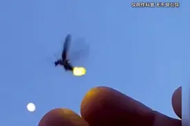 居然有这么多人以为萤火虫是假的？视频封面