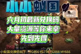 【小小蚁国】六月初最新兑换码 大量资源等你来拿 先到先得视频封面