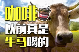 不是玩笑！咖啡最初竟是提升牲畜效率的神器？视频封面