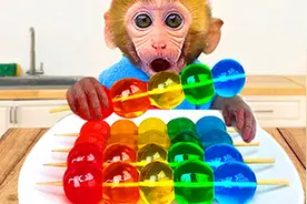 有趣的小猴子：吃货小猴子爱吃水果果冻，它会和小鸭子分享？