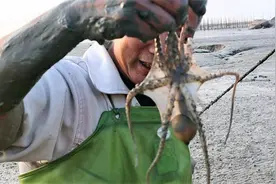 这里的水坑有点不对劲，水很浑浊一直在冒泡，原来底下躲着好货啊视频封面