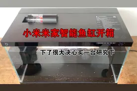 小米米家智能鱼缸开箱，没想到我也会买一套，就当研究下吧视频封面