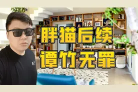 胖猫后续！谭竹无罪，胖猫姐姐可能构成犯罪视频封面