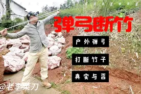 看到网上别人一弹弓就打断竹子的视频，今天菜刀就来验证一下真伪