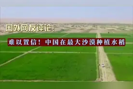 国外网友评论：难以置信！中国在最大沙漠种植水稻视频封面