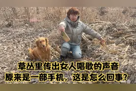 草丛里传出女人唱歌的声音，原来是一部手机，这是怎么回事？视频封面