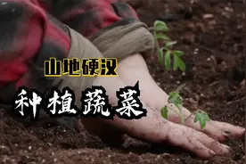 山地硬汉：艾伦妻子将新鲜鸡蛋放进土壤补充养分种植蔬菜