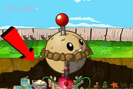 植物大战僵尸：土豆雷地下有僵王博士梦寐以求的脑子！