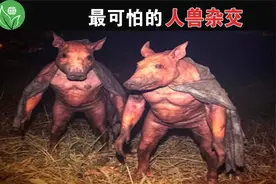 全世界最可怕的杂交实验，科学家太疯狂了，人兽杂交你们见过吗？视频封面