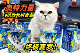 9倍欧气拆盲盒，解密终极赛罗，获得奥特之力