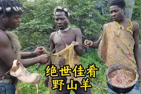 原始部落人捕获一头野生山羊，炖成十全大补羊瘪汤，吃得津津有味