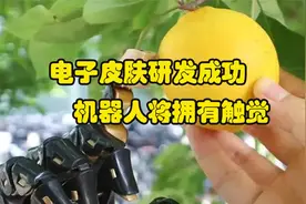 我国研发成功机器人用的电子皮肤视频封面
