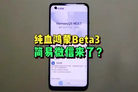 纯血鸿蒙Beta3正式启动推送，简易版微信终于上线？视频封面