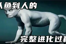 你敢相信吗？人类其实是从鱼进化而来的！带你看看祖先的进化历程视频封面