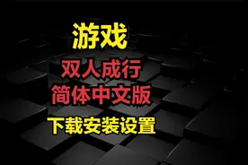 117，双人成行-简体中文版-下载安装设置