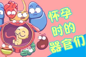 怀孕时你的器官们你都在经历什么？？？视频封面