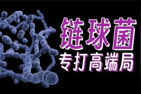 链球菌：只打高端局的极恶病菌为何被人类用来养生