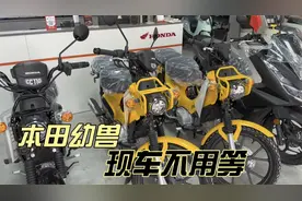 本田幼兽Cross Cub摩托车不再等车 探店朱宏路新大洲本田美女老板视频封面