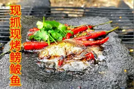 水坑里抓了一条小鳑鲏鱼，放石板上烧烤一下，嘎嘣脆太好吃了视频封面