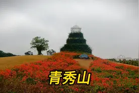 从哪个门进南宁青秀山风景区更好？只在雨中看花赏竹算不算可惜视频封面