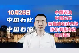 中国石化 中国石油 两桶油领跌市场 股价调整如何看？视频封面