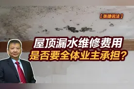 【张捷说法】屋顶漏水维修费用是否要全体业主承担？视频封面
