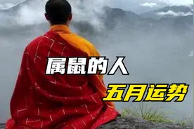 属鼠的人五月运势视频封面