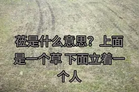 道德经 第六十章 莅是什么意思？ 上面是一个草，下面立着一个人