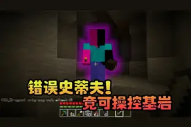 我的世界：奇怪种子里的错误史蒂夫！