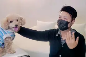 如何优化客服流程【做好一个客服管理职场干货经验知识培训教程】