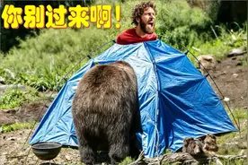 熊出没!男子户外露营遇棕熊,死前最后一条短信曝光视频封面