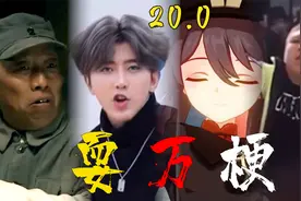 鬼畜全明星教你高考复习【耍万梗20.0】视频封面