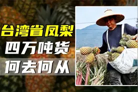 台湾省凤梨在大陆禁售，价格跳崖式雪崩，当地果农赔的有多惨？视频封面